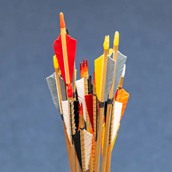 Tiro Com Arco Flecha Alvo Com Coleção Barbatanas Coloridas — Fotografia de Stock