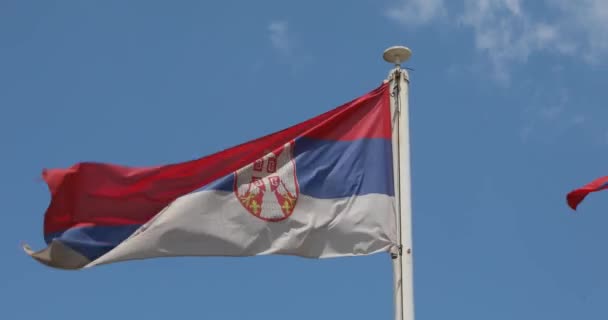 Nationalflagge Republik Serbien Bei Polenwind — Stockvideo