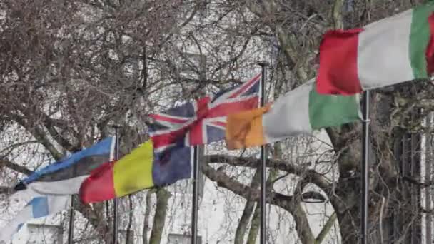 Union Jack Banderas Nacionales Poles Wind — Vídeo de stock