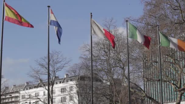 Internationale Flaggen Polen London City — Stockvideo