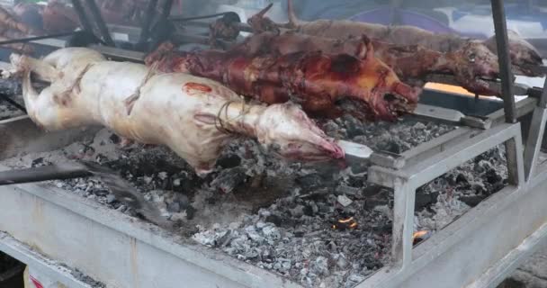 Parrilla Barbacoa Asada Cerdo Cordero Spit Giratoria — Vídeos de Stock