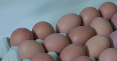 Taşıma bandında kartondaki yumurtalar. Kapat