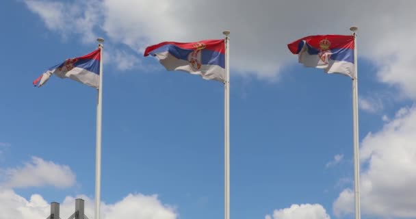 Drei Nationalflaggen Republik Serbien Bei Polenwind — Stockvideo
