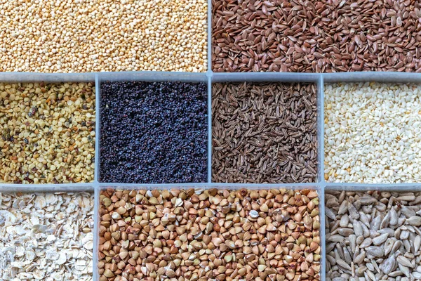 Samen Und Körner Gesunde Nahrungsmittelauswahl Sorte — Stockfoto