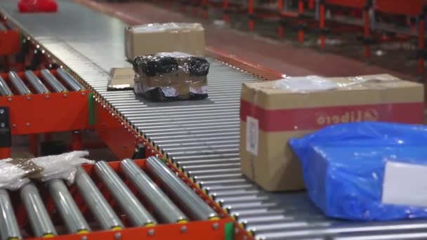 Paket Pengiriman Dan Pengurutan Sabuk Conveyer — Stok Video