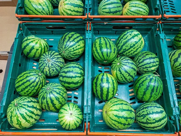 Mini Watermelons Crates Farmers Market — стокове фото