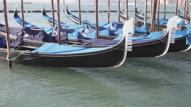 Traditionelle Gondelboote Venedig Festgemacht — Stockvideo