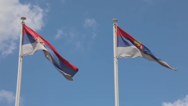 Zwei Nationalflaggen Republik Serbien Bei Polenwind — Stockvideo