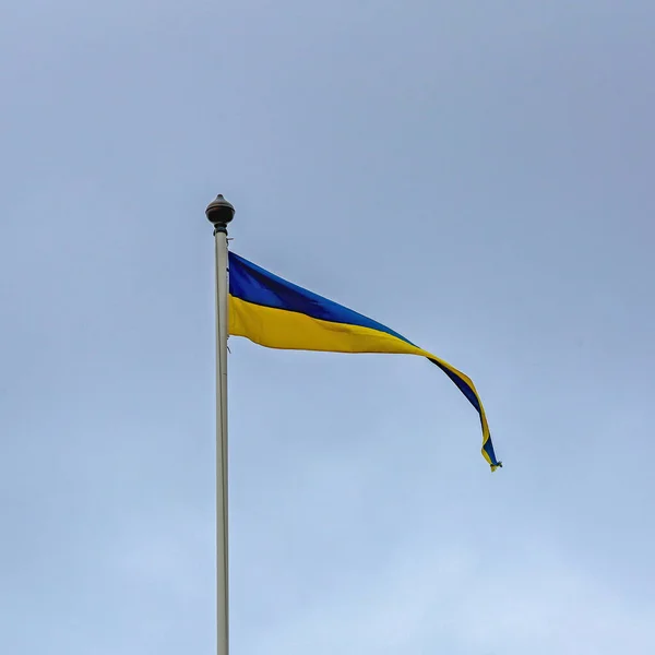 Bandeira Sueca Longa Amarelo Azul Céu — Fotografia de Stock