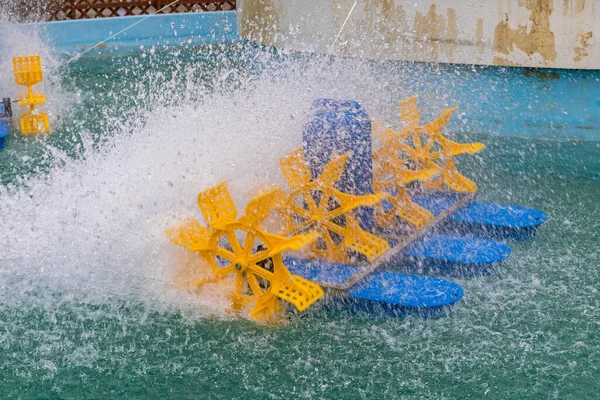 Rodas Remo Girando Água Lagoa Aquicultura — Fotografia de Stock