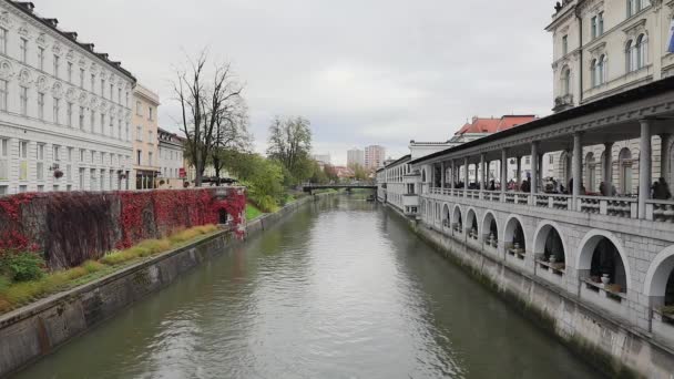 Любляна Словения Ноября 2019 Года Любляница Река Пешеходный Мост Столица — стоковое видео
