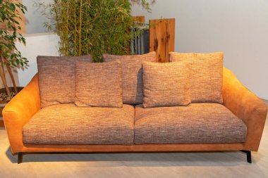 Oturma odasında Yastıklı Boş Tekstil Kanepesi