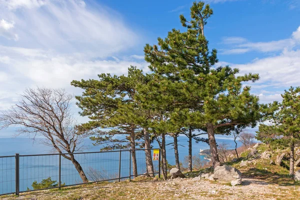 Trieste Talya Nın Yakınındaki Viewing Point Çit Kenarı — Stok fotoğraf