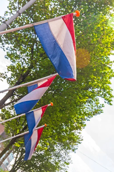 Bandeira Nacional Dos Países Baixos Polacos — Fotografia de Stock
