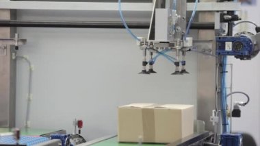 Robotik Kol Vakum Vakum Üretim Hattı 'nda Seçme Kutusu