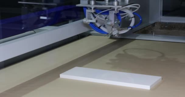 Ahşap Boyama Makinesi Teçhizat Fabrikası Üretimi — Stok video