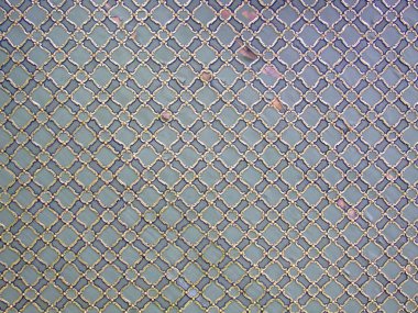 İstanbul 'da Altın Ortaçağ Tavan Şablonu