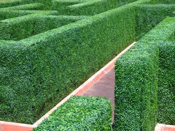 Big Maze Pattern Labyrinth Green Garden Park — Stock Photo, Image