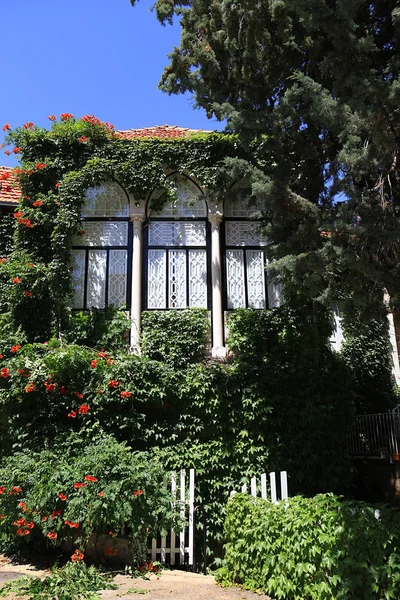 Traditional Lebanese House Covered Lush Green Foliage — Stock Photo, Image