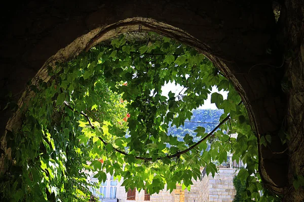 Арка Ливанской Деревне Дума Пышной Зелени — стоковое фото