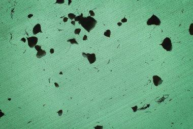 Düşen yapraklar siluetleri gösterilen bir kafes arka plan.