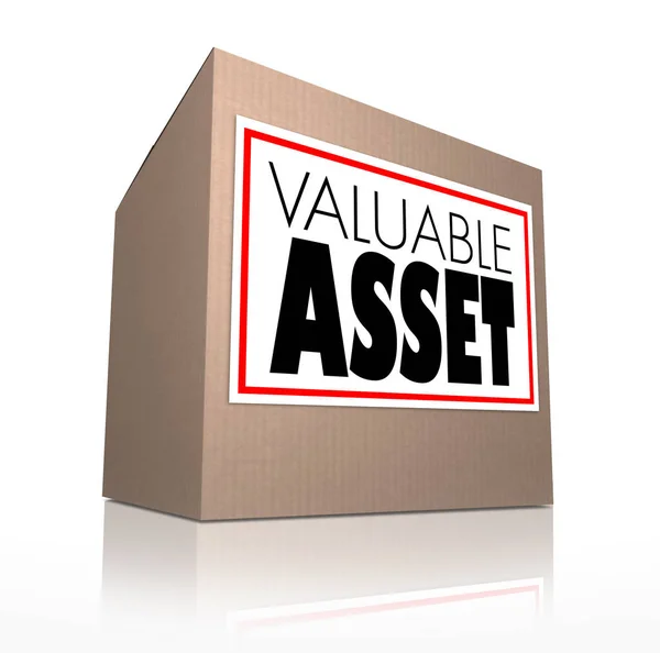 Valuable Asset Boîte Carton Mots Illustraion — Photo