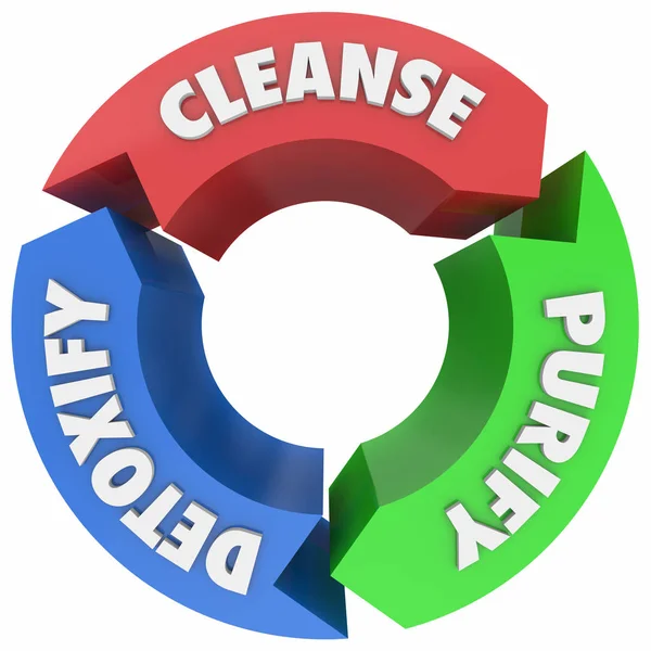 Cleanse Purify Detoxify Cycle Process Words — Stock Photo, Image