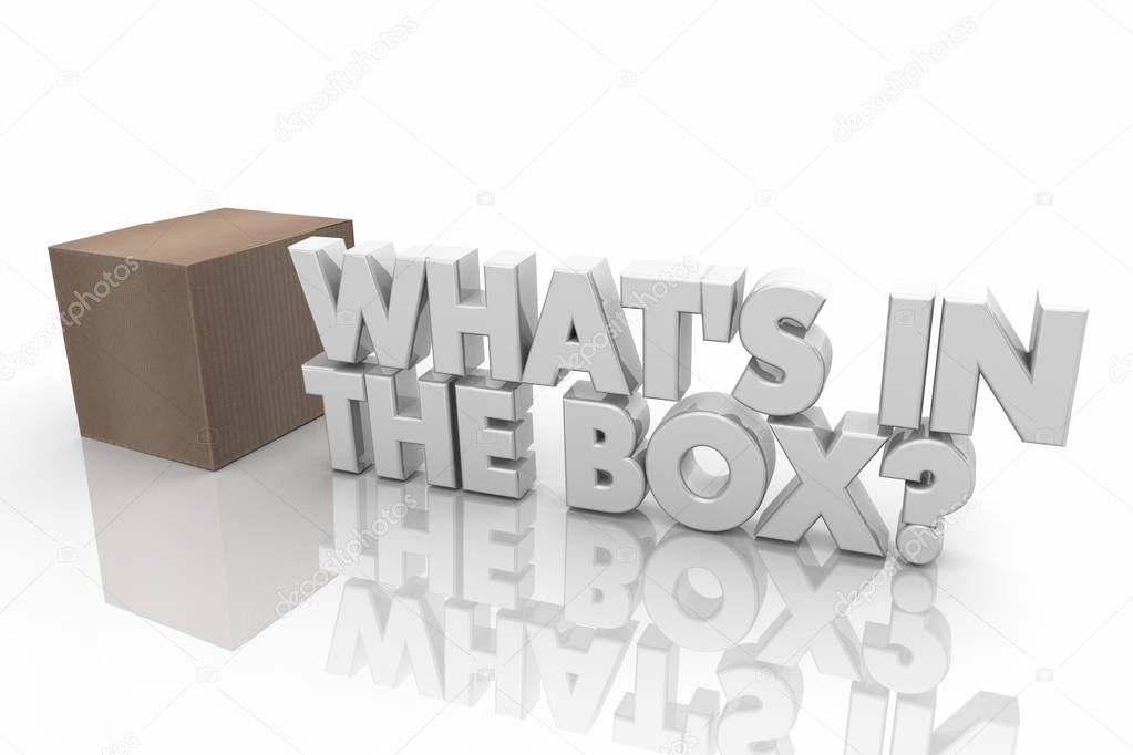 Whats in the Box Mystery Question Words 3d Render Illustration