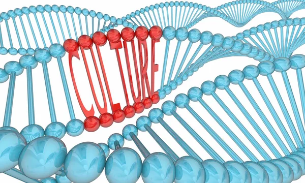 Kultur Dna Stränge Erbe Abstammung Illustration — Stockfoto