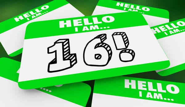 Sixteen Years Old Hello Name Tag Festa Compleanno Illustrazione — Foto Stock