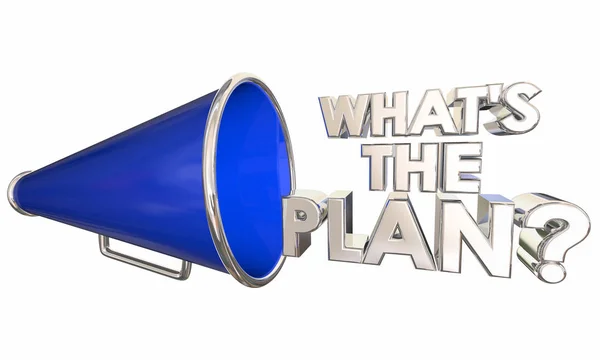 Wat Het Plan Bullhorn Megafoon Woorden Vraag Illustratie — Stockfoto