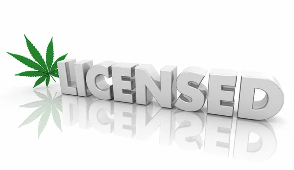 Licensed Marijuana Venditore Salute Prescrizione Parola Illustrazione — Foto Stock