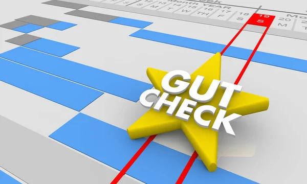 Gut Check Review Opinion Feedback Gantt Chart Illustration — Stock Photo, Image