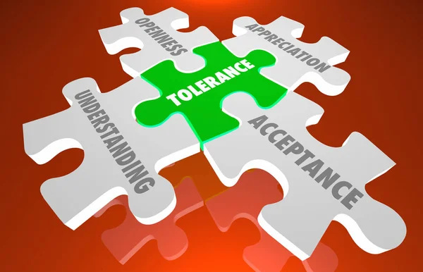 Tolerance Acceptance Oppenness Appreciation Puzzle Pieces 3d Illustration — Stock Photo, Image