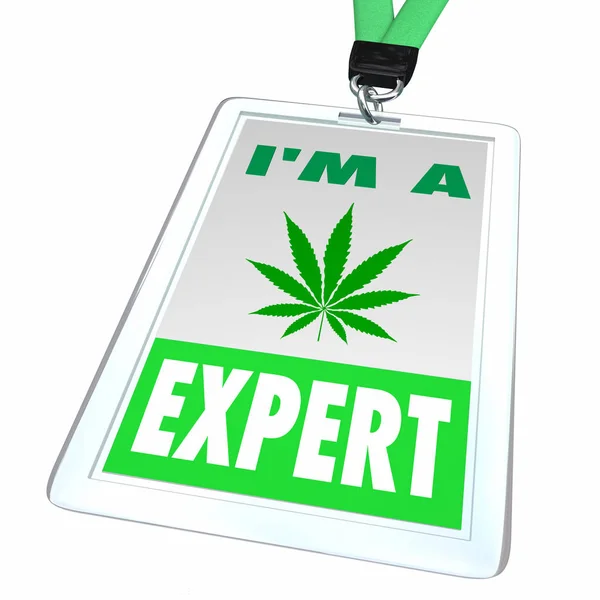Marijuana Pot Weed Cannabis Expert Badge Pro Knowledge Respuestas Ilustración 3D — Foto de Stock