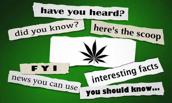 Marijuana Weed Pot Cannabis Task Newspaper Headlines Alert Articles 3d Illustration — Stock Photo, Image