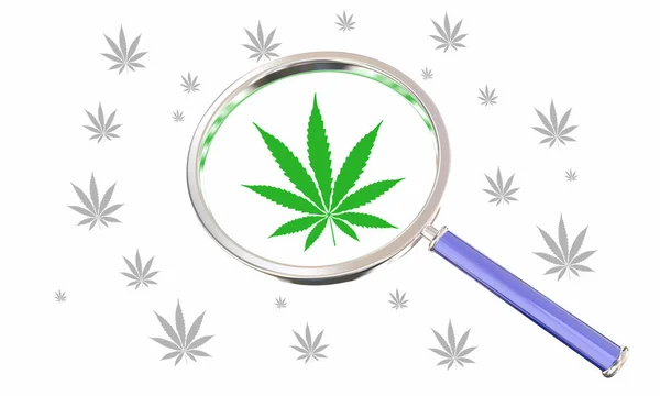 Marijuana Weed Pot Cannabis Magnifying Glass FInd Best Deal 3d Illustration — Stock Photo, Image