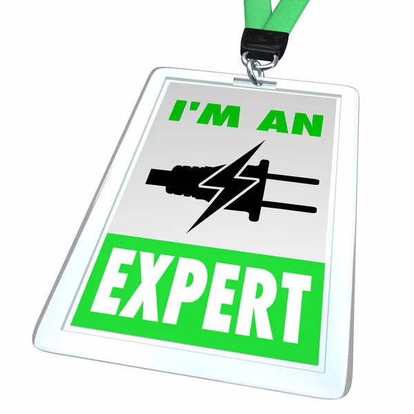 Elkraft energi plugg Badge anställd professionell expert symbol ikon 3D illustration — Stockfoto