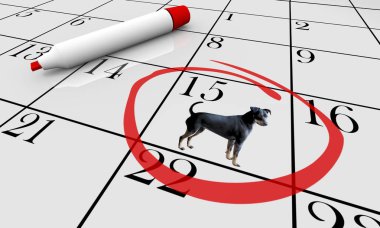 Köpek Pet Hayvan Takvim Günü Tarih Olay Eğitim Sınıf 3d İllüstrasyon