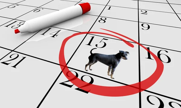 Σκύλος κατοικίδια ζώο ημερολόγιο Ημέρα Ημερομηνία εκδήλωση εκπαίδευση κλάση 3D εικόνα — Φωτογραφία Αρχείου