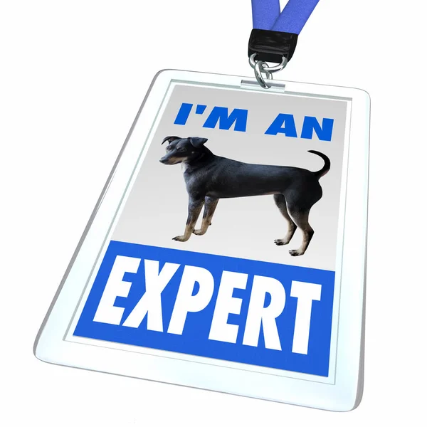 我专家狗宠物动物徽章员工3D插图 — 图库照片