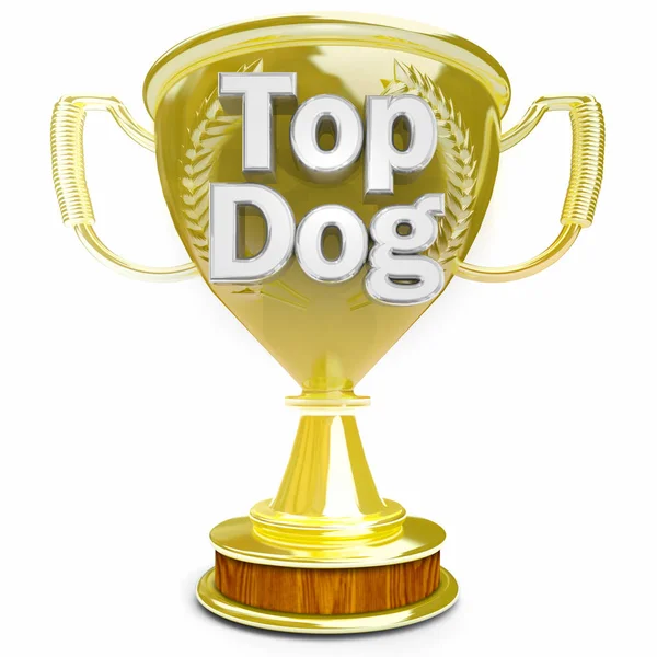 顶级狗领袖奖得主最佳球员老板奖杯奖3D插图 — 图库照片