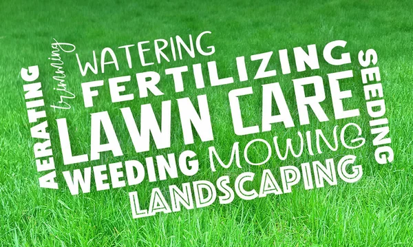 Lawn Care Service Landscaping Mowing Grass Trimming Illustration — Stock Photo, Image
