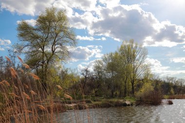 Doğal manzara nehir, orman, bulutlu gökyüzü