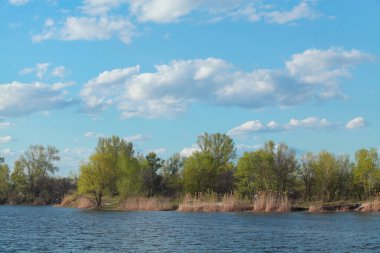 Bu manzara nehir, orman, bulutlu gökyüzü