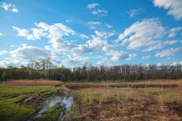 Natuurlandschap Van Het Voorjaar Met Een Plas Een Blauwe Hemel — Stockfoto