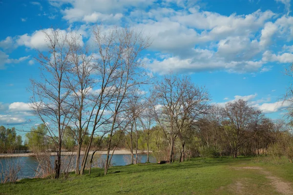 Primavera Paisagem Natural Árvores Margem Rio — Fotografia de Stock