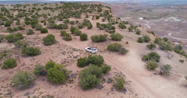 Aerial View Suv Car Driving Dirt Road Mesa Covered Juniper — Stock Video