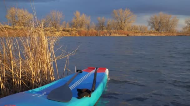 Stand Paddleboard Com Uma Trela Segurança Uma Costa Lago Cenário — Vídeo de Stock