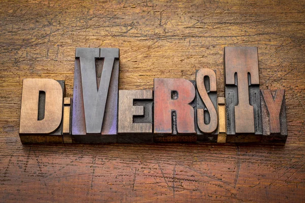 diversity  - word abstract in vintage letterpress wood type against rustic wooden background